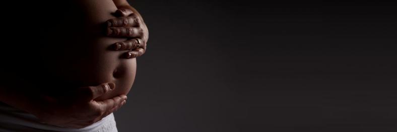 Bild: www.danielglauser.com